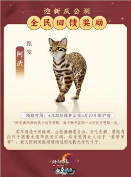 天龙八部私服主宰顶级